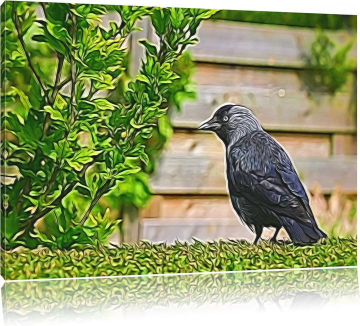 schöner schwarzer Vogel auf Gartenwiese NewArt Format: 100x70 cm auf Leinwand, XXL riesige Bilder fe