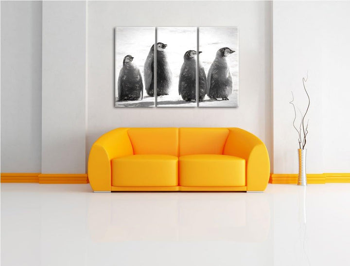vier Kaiserpinguinküken NewArt 3-Teiler Leinwandbild 120x80 Bild auf Leinwand, XXL riesige Bilder fe