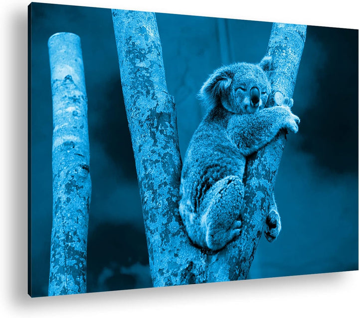 deyoli niedlich schlafender Koalabär Format 80x60 Effekt: Monocrome Blau als Leinwandbild, Motiv fer