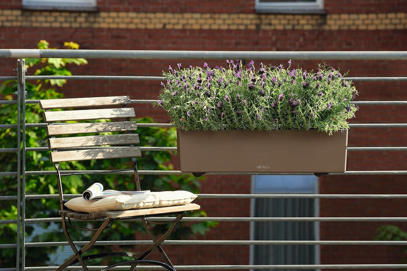 LECHUZA 15684 "BALCONERA Color 80" Pflanzgefäss mit Erd-Bewässerungs-System, Muskat, 79 x 19 x 19 cm