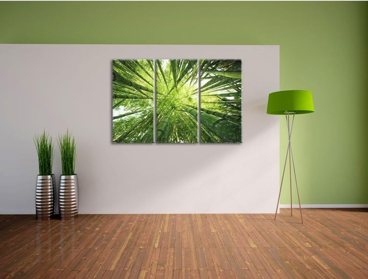 Pixxprint Bambus / 3-Teilig/Gesamtmass 120cm Leinwandbild bespannt auf Holzrahmen/Wandbild Kunstdruc