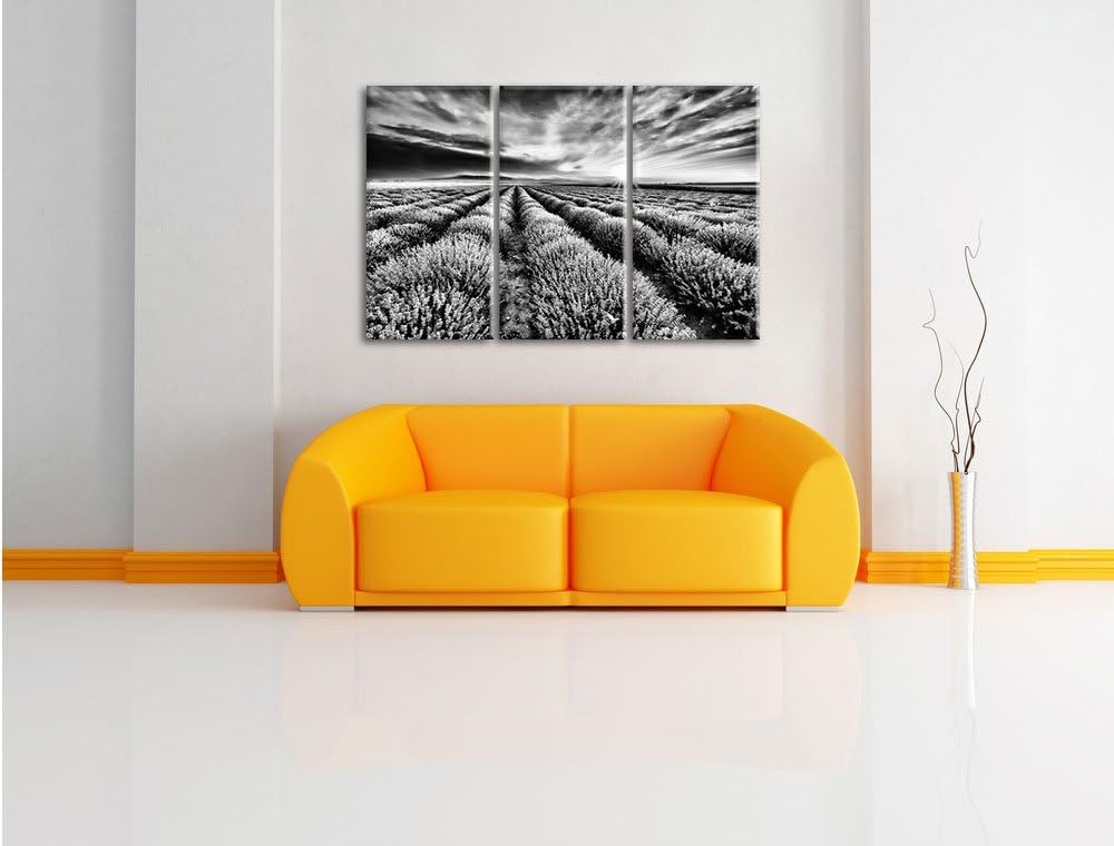 Pixxprint Traumhafte Lavendel Provence als Leinwandbild/Grösse: 3 Teilig (120x80) cm/Wandbild/Kunstd