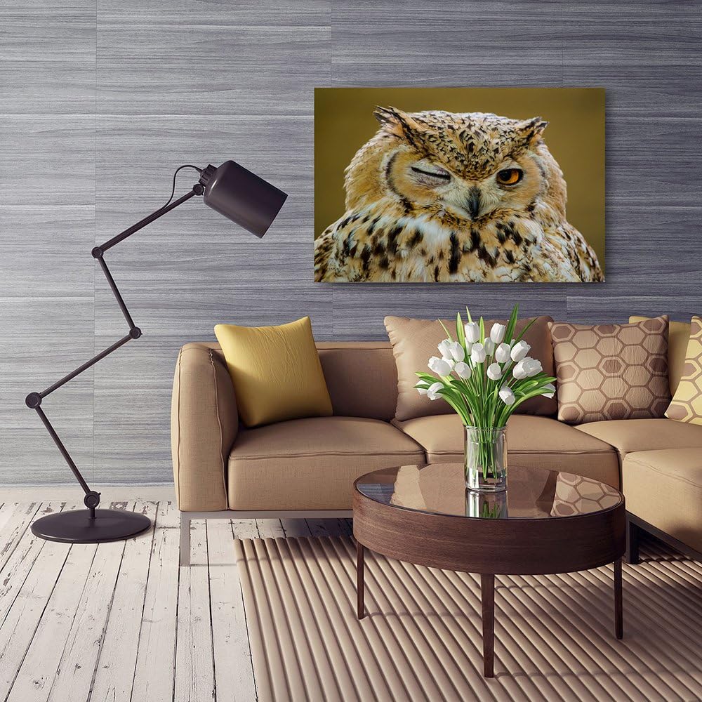 Feeby Bilder Eule Tier 60x40 cm Wohnzimmer Schlafzimmer Büro Flur Küche Wandbilder Modern Bild auf L