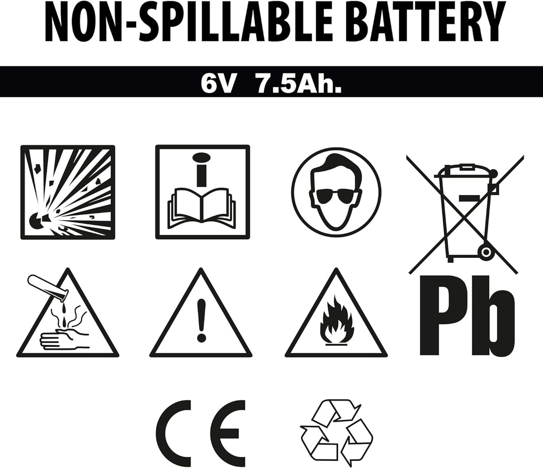 FEBER 800004279 Batterie, Gross