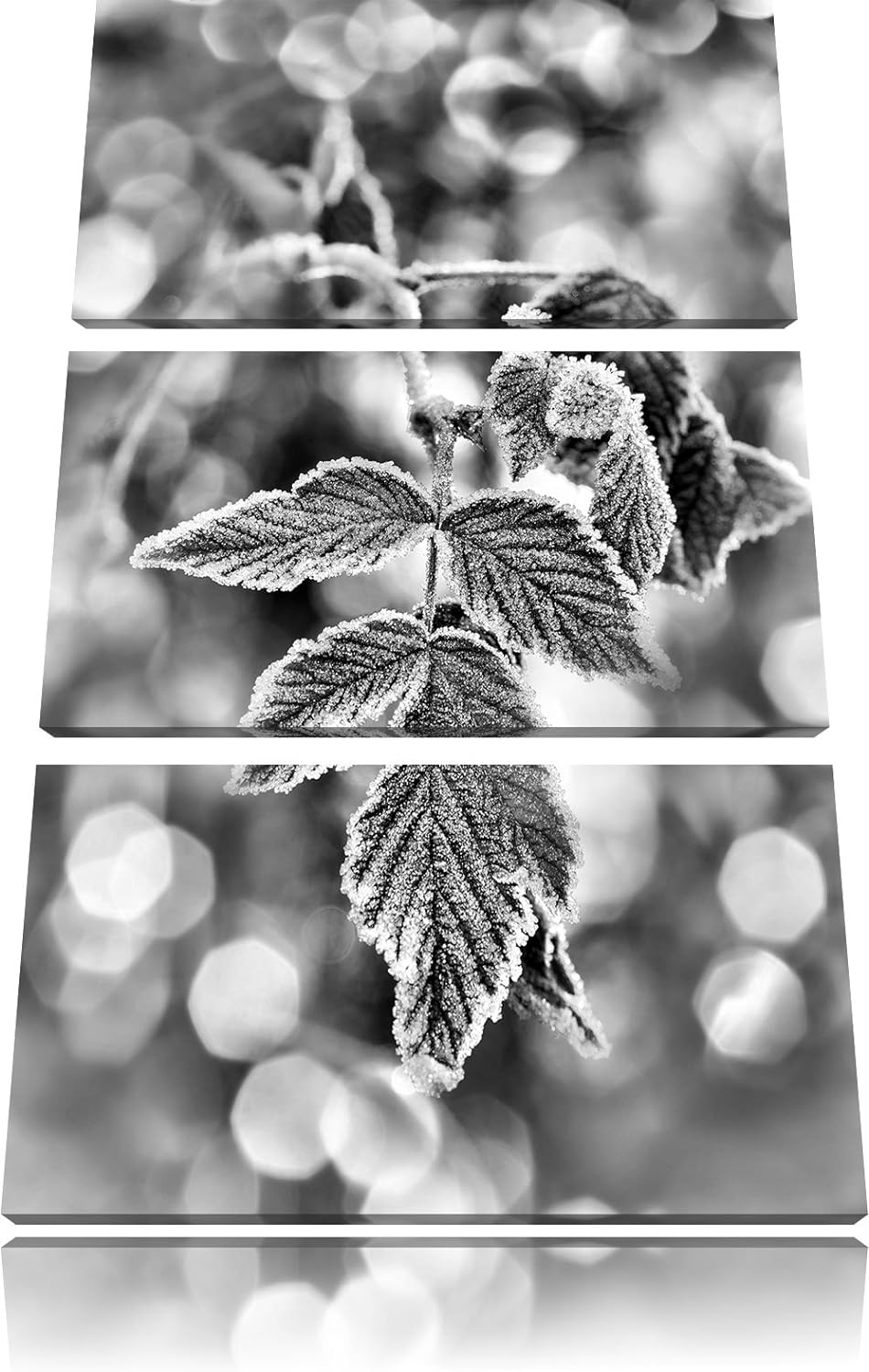 Pixxprint Monocrome, Blätter im Winter Morgenfrost 3-Teiler Leinwandbild 120x80 Bild auf Leinwand