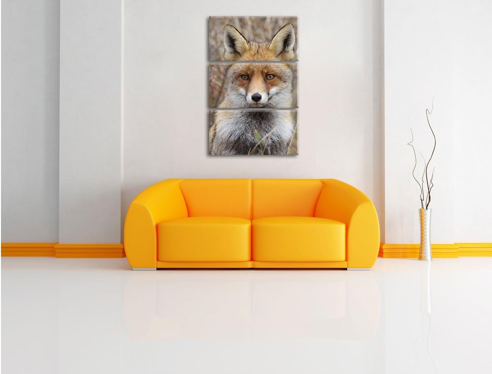 Pixxprint aufmerksamer Fuchs im Geäst als Leinwandbild/Grösse: 3 Teilig (120x80) cm/Wandbild/Kunstdr