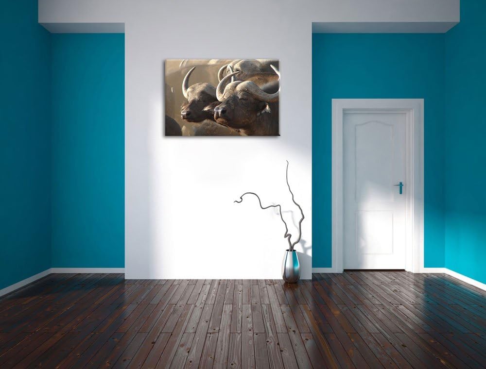 Zwei gemütliche Wasserbüffel Format: 100x70 auf Leinwand, XXL riesige Bilder fertig gerahmt mit Keil
