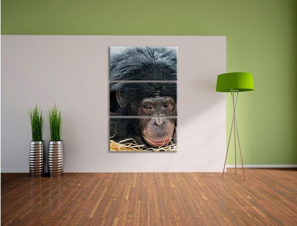 Pixxprint Kleiner Schimpanse im Heu 3-Teiler Leinwandbild 120x80 Bild auf Leinwand