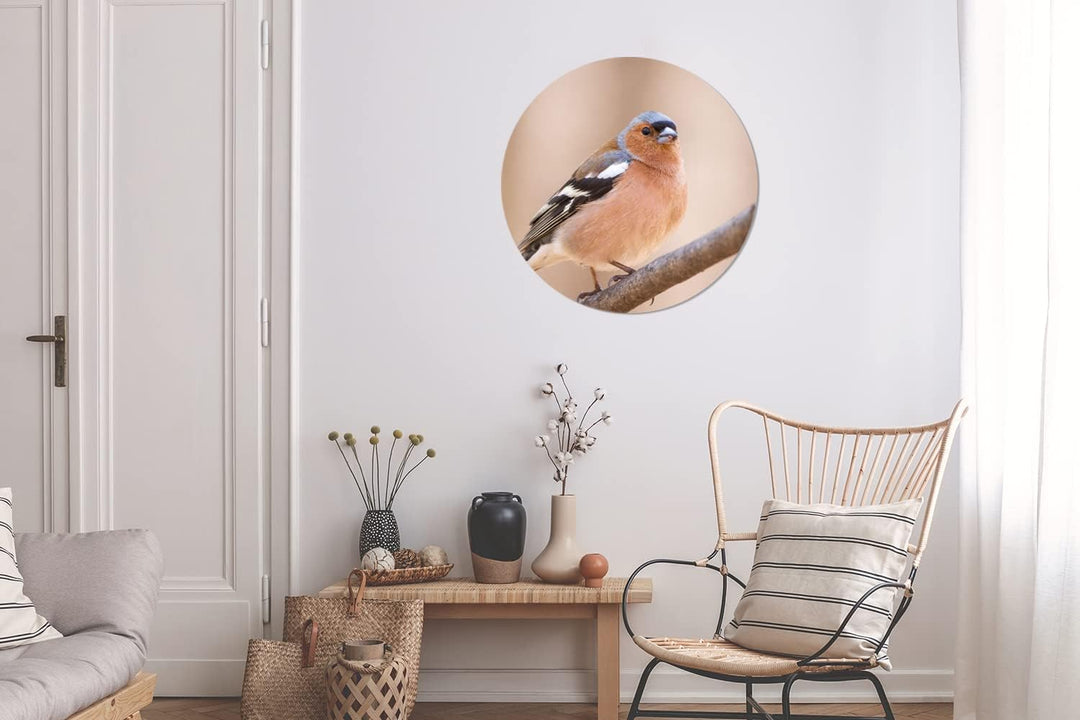 MuchoWow Wandbild Rund Wanddeko Deko Wohnzimmer Bilder 60x60 cm Vogel - Tiere - Fink, 60x60 cm