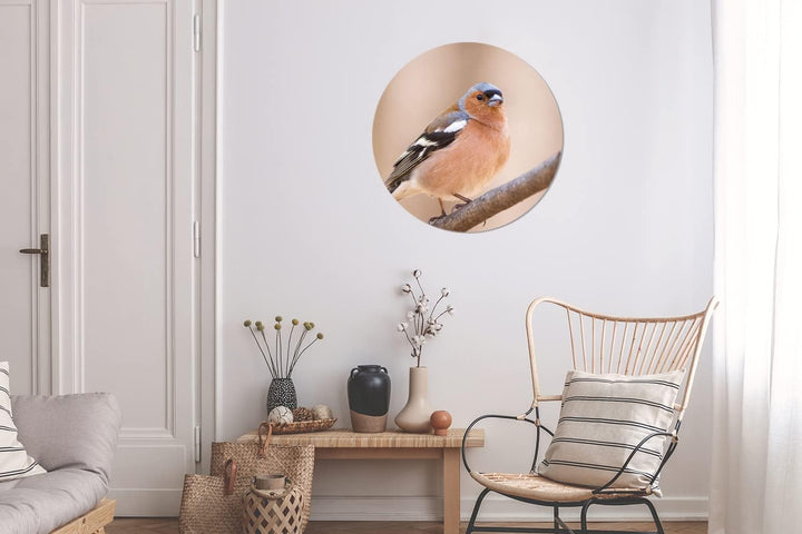 MuchoWow Wandbild Rund Wanddeko Deko Wohnzimmer Bilder 60x60 cm Vogel - Tiere - Fink, 60x60 cm