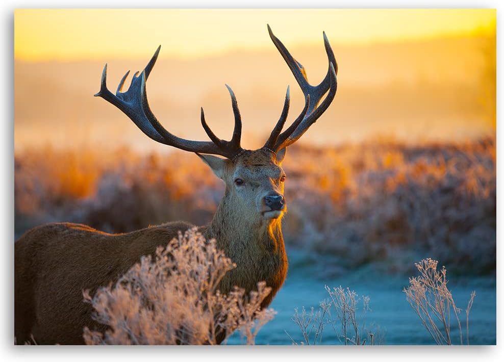 Bilder Hirsch Tier Landschaft XXL 120x80 cm 1Teilig Wohnzimmer Schlafzimmer Modern Wandbilder Vlies
