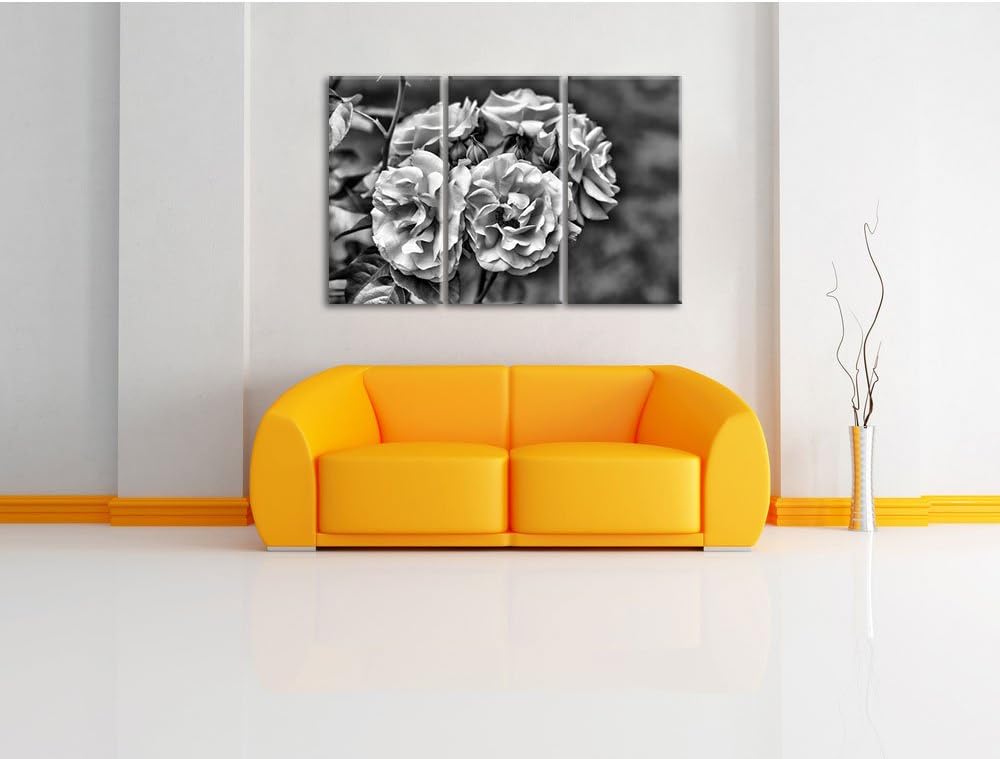 Pixxprint Weiss gelbe Rose Blumen als Leinwandbild/Grösse: 3 Teilig (120x80) cm/Wandbild/Kunstdruck/