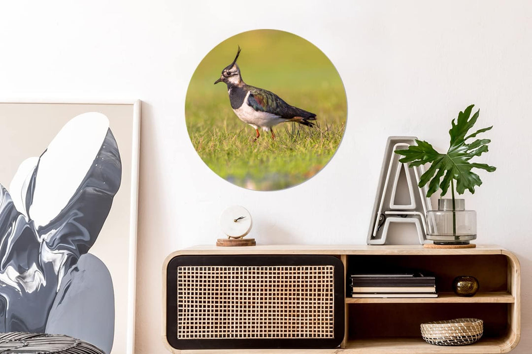 MuchoWow Wandbild Rund Wanddeko Deko Wohnzimmer Bilder 60x60 cm Vogel - Gras - Natur - Tiere - Kiebi