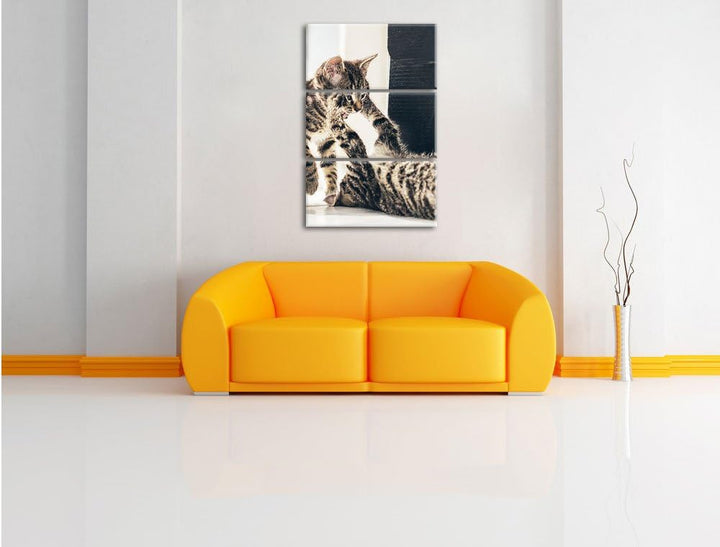Pixxprint Fighting Cats 3-Teiler Leinwandbild 120x80 Bild auf Leinwand