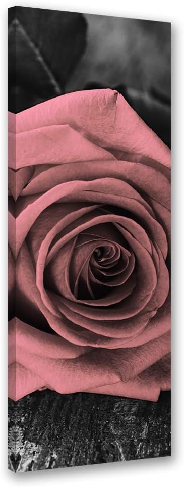 Feeby Wanddeko Rose Leinwandbild Kunstdruck Blumen Rosa 40x100 cm Leinwandbild 40x100 cm Rosa_c, Lei
