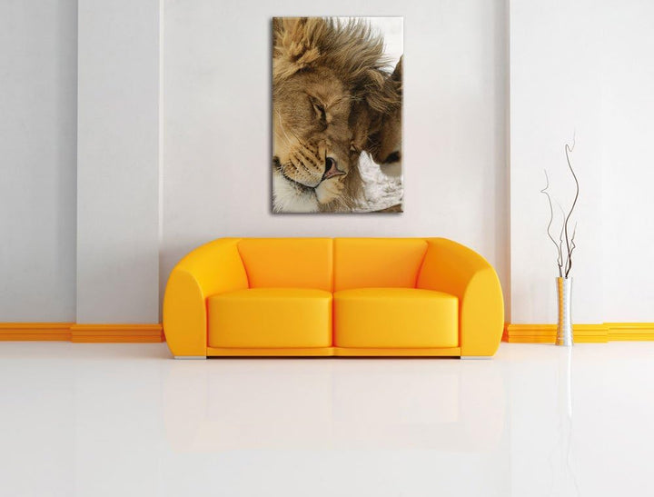 Kuschelnde Löwen, Format: 100x70 auf Leinwand, XXL riesige Bilder fertig gerahmt mit Keilrahmen, Kun