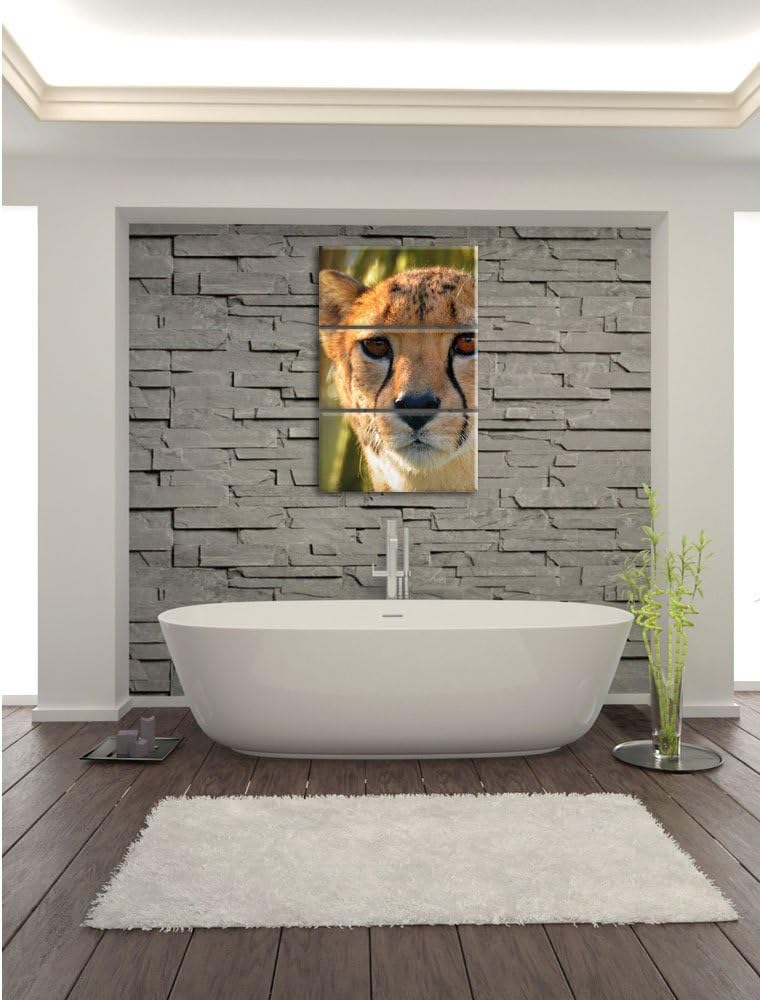 Pixxprint junger Gepard im Dschungel als Leinwandbild/Grösse: 3 Teilig (120x80) cm/Wandbild/Kunstdru