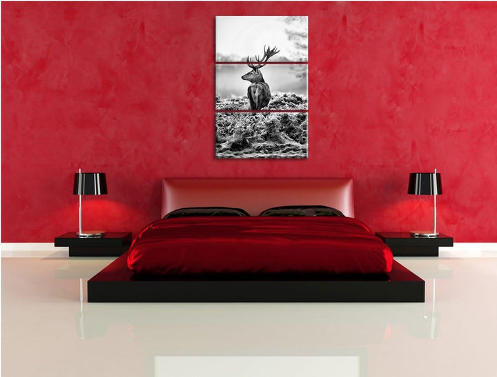 Pixxprint Monocrome, Stolzer Hirsch 3-Teiler Leinwandbild 120x80 Bild auf Leinwand