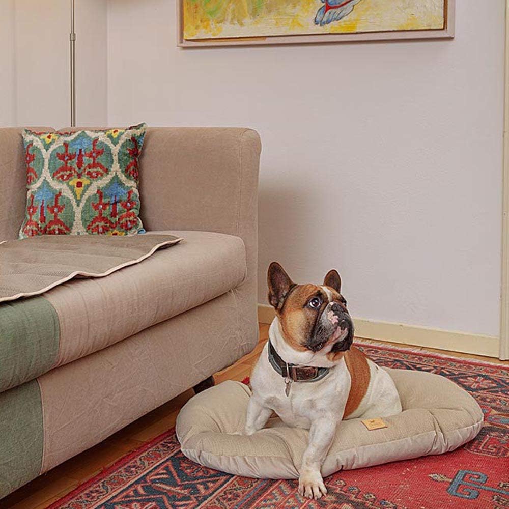 Ferplast Hundebett Hundekissen Katzenkissen Hundesofa für kleine Hunde, Katzenbett, 78 x 50 x 15 cm