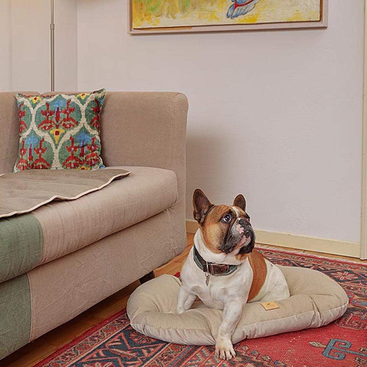 Ferplast Hundebett Hundekissen Katzenkissen Hundesofa für kleine Hunde, Katzenbett, 78 x 50 x 15 cm