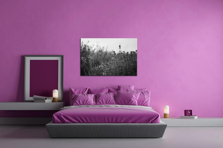 deyoli blühender Lavendel und Mohn Effekt: Schwarz&Weiss Format: 80x60 als Leinwandbild, Motiv ferti