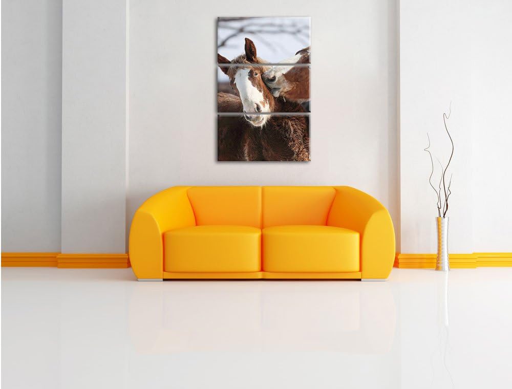 Pixxprint schmusende Pferde als Leinwandbild/Grösse: 3 Teilig (120x80) cm/Wandbild/Kunstdruck/fertig