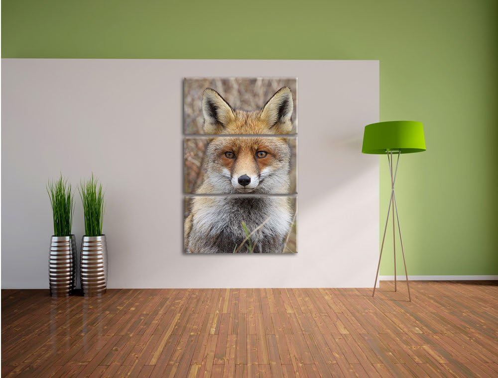 Pixxprint aufmerksamer Fuchs im Geäst als Leinwandbild/Grösse: 3 Teilig (120x80) cm/Wandbild/Kunstdr