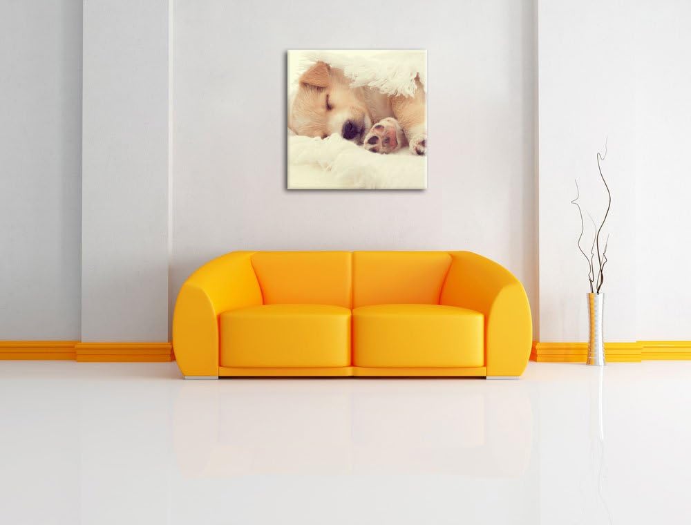 kleiner schlafender Welpe, Format: 70x70 auf Leinwand, XXL riesige Bilder fertig gerahmt mit Keilrah