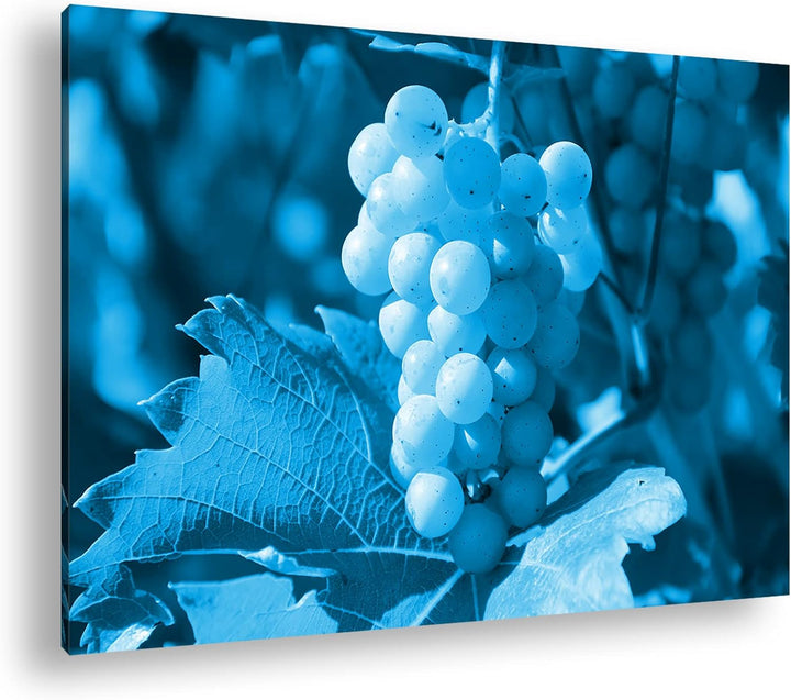 deyoli frische erntereife Weintrauben Format 80x60 Effekt: Monocrome Blau als Leinwandbild, Motiv fe