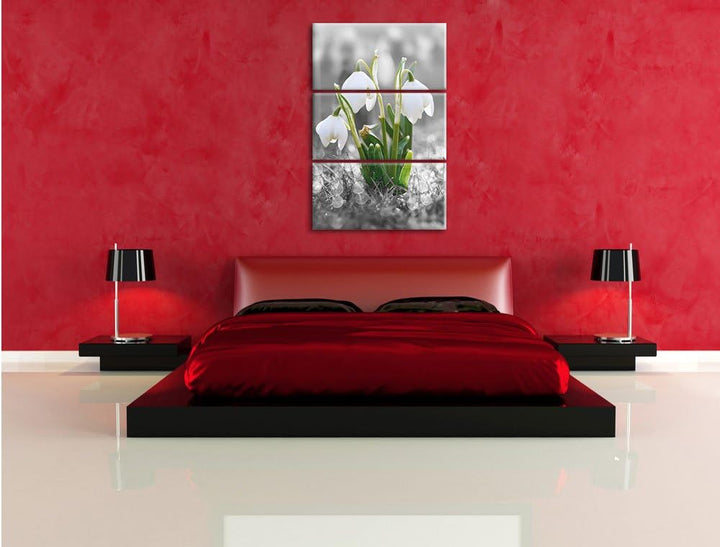 Pixxprint schöne Schneeglöckchen im Morgentau als Leinwandbild/Grösse: 3 Teilig (120x80) cm/Wandbild