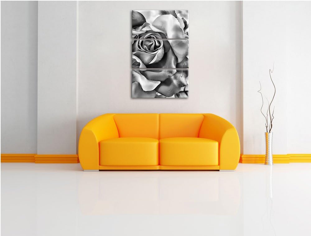 Pixxprint Bunte Rosen als Leinwandbild/Grösse: 3 Teilig (120x80) cm/Wandbild/Kunstdruck/fertig bespa