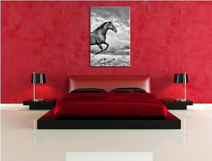 Pixxprint Monocrome, Edler schwarzer Hengst auf Wiese, Format: 100x70 auf Leinwand, XXL riesige Bild