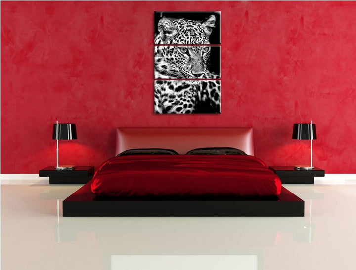Pixxprint Leopard mit blauen Augen als Leinwandbild/Grösse: 3 Teilig (120x80) cm/Wandbild/Kunstdruck