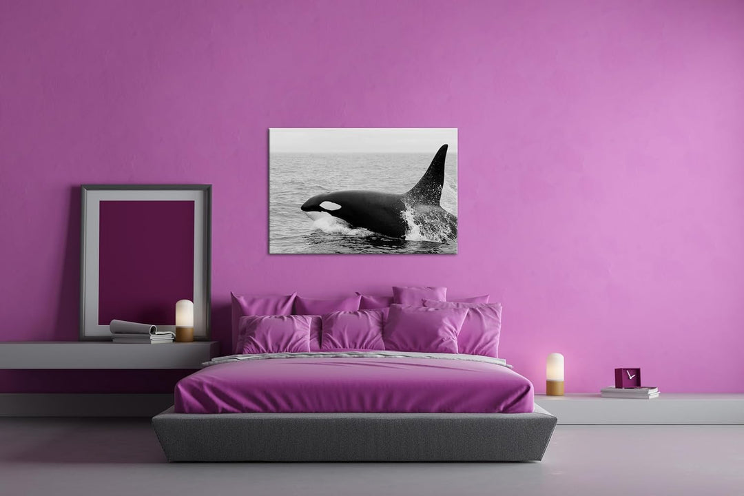 deyoli edler Orca Format: 60x40 Effekt: Schwarz/Weiss als Leinwand, Motiv fertig gerahmt auf Echthol