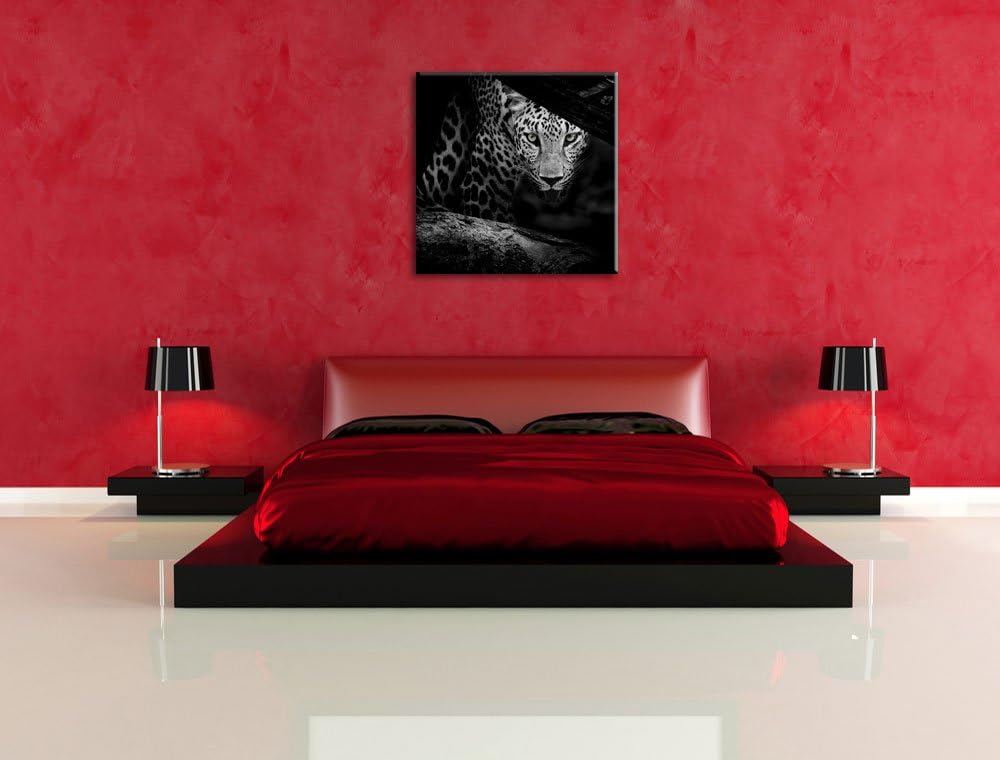 Pixxprint Neugieriger Gepard/Format: 70x70cm / Leinwandbild fertig bespannt Wandbild Kunstdruck, 70x