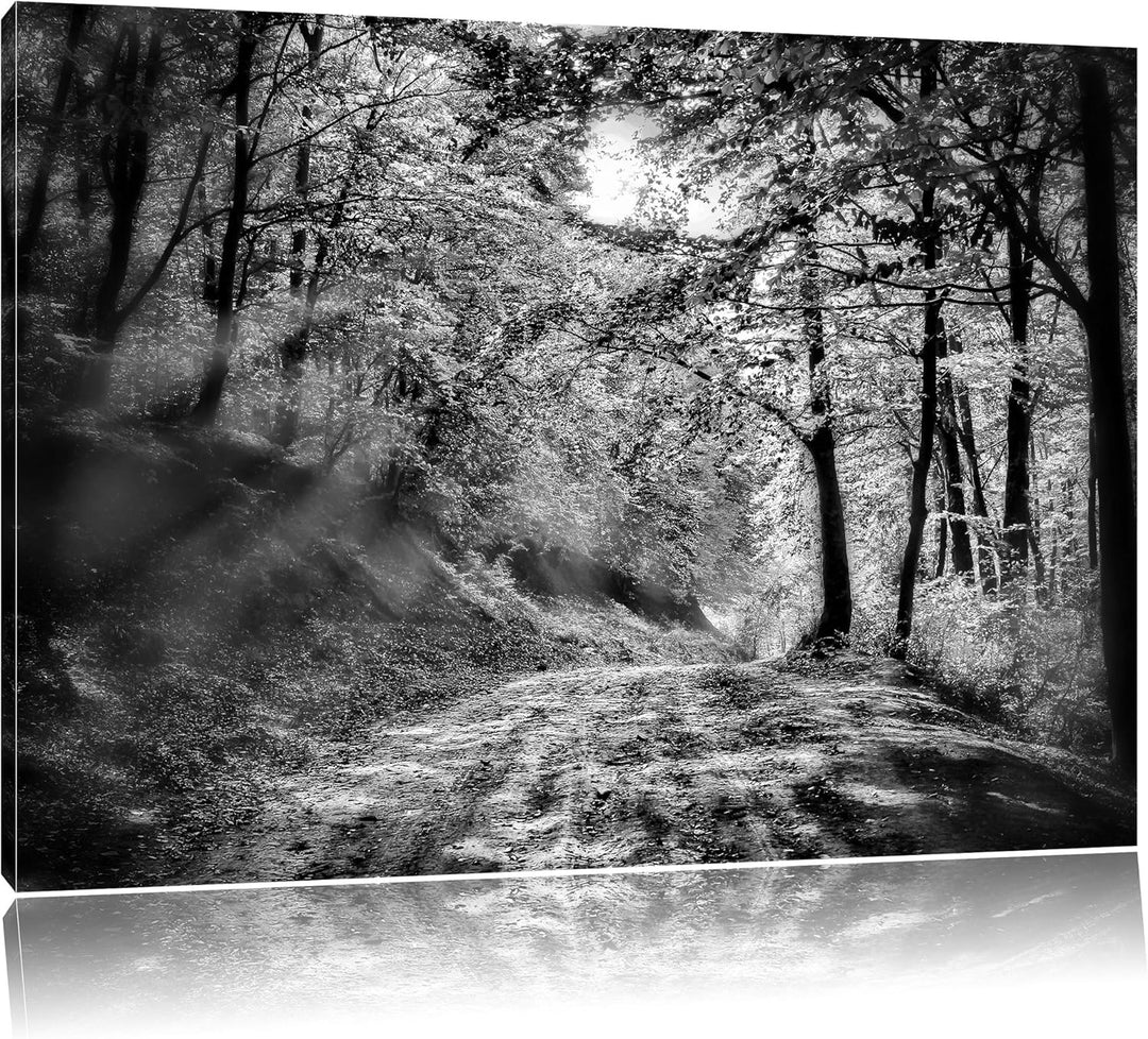 Monocrome, Wald, Format: 100x70 auf Leinwand, XXL riesige Bilder fertig gerahmt mit Keilrahmen, Kuns