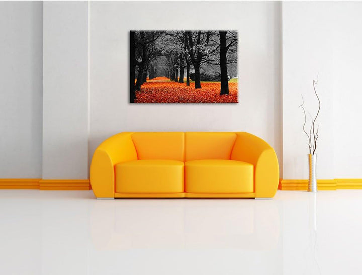 schöner Waldweg im Herbst schwarz/weiss Format: 100x70 auf Leinwand, XXL riesige Bilder fertig gerah