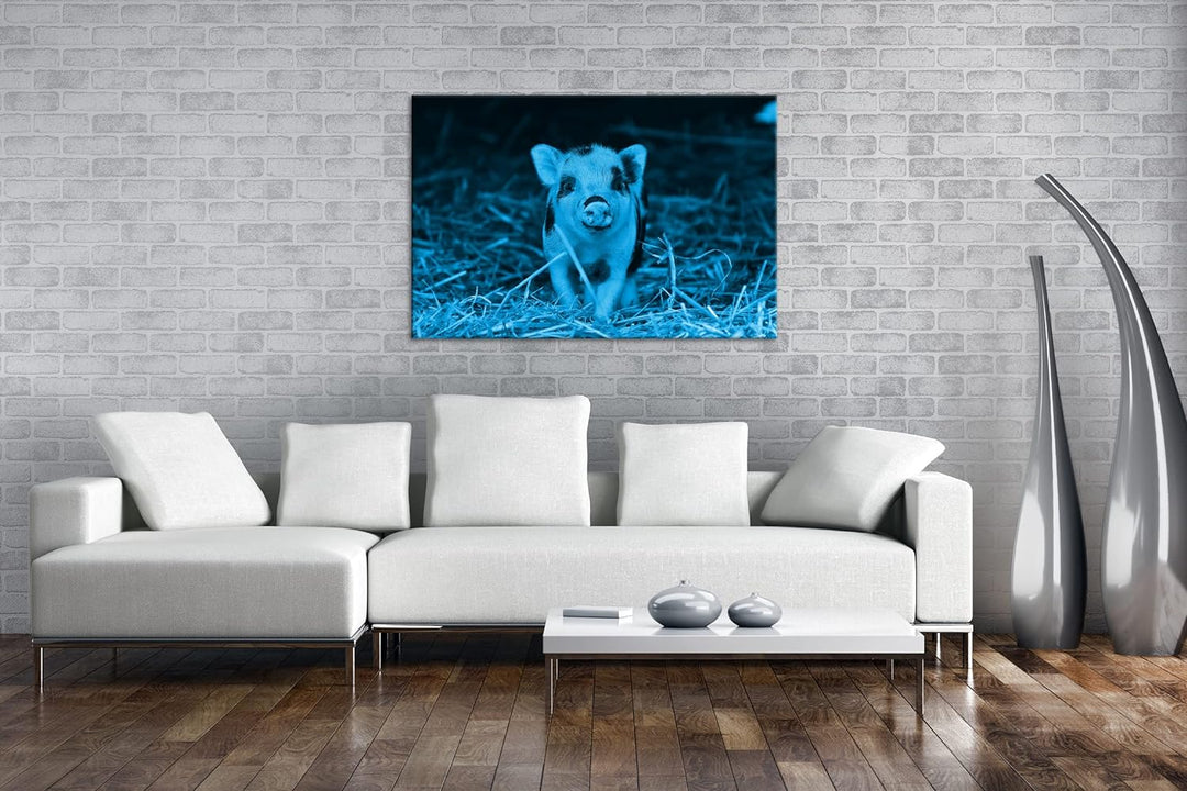 deyoli niedliches Ferkel Format 80x60 Effekt: Monocrome Blau als Leinwandbild, Motiv fertig gerahmt