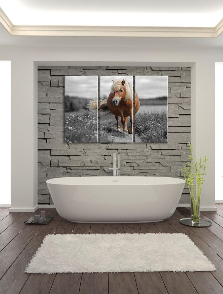 Pixxprint Shetlandpony auf der Wiese als Leinwandbild/Grösse: 3 Teilig (120x80) cm/Wandbild/Kunstdru