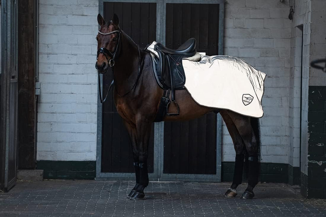 Equinate reflektierende Ausreitdecke Xtreme-Visible - Gr. M -Wasserdicht und Atmungsaktiv mit Fleece