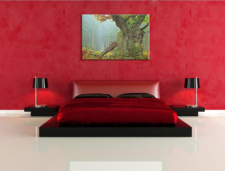 Dicker Baum im Wald im Moos Deluxe Format: 100x70 cm auf Leinwand, XXL riesige Bilder fertig gerahmt