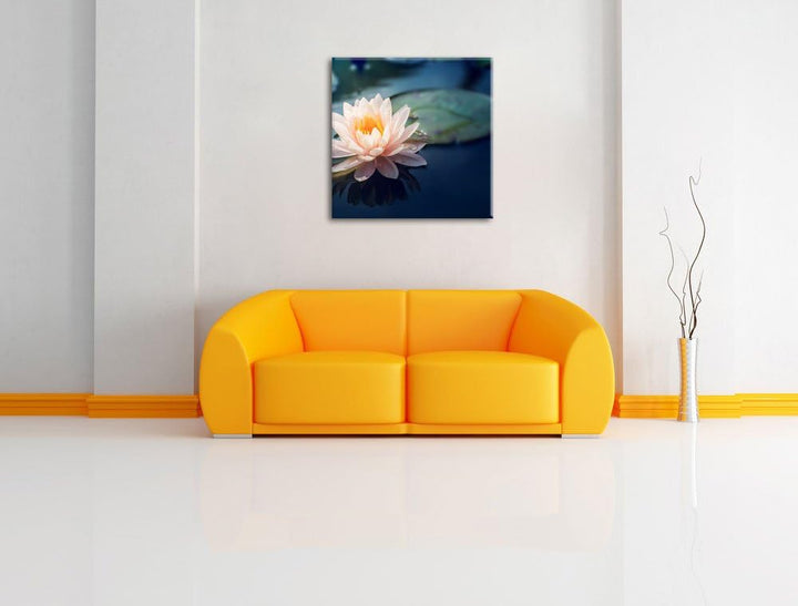 Pixxprint Eine rosa Lotusblume in Teich als Leinwandbild/Grösse: 70x70 cm/Wandbild/Kunstdruck/fertig