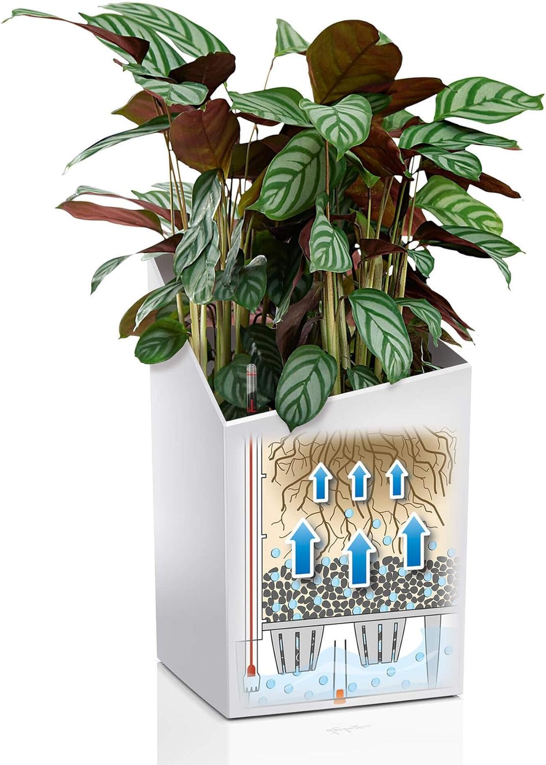 LECHUZA CURSIVO Premium 30 hochwertiges Pflanzgefäss mit Erd-Bewässerungs-System, taupe hochglanz, 3