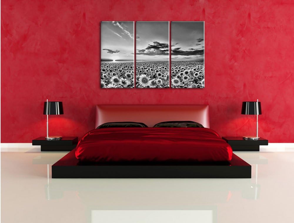 Pixxprint Monocrome, Sonnenuntergang am Sonnenblumenfeld 3-Teiler Leinwandbild 120x80 Bild auf Leinw