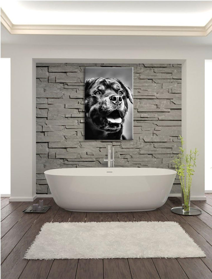 Pixxprint Treuer Rottweiler als Leinwandbild/Grösse: 100x70 cm/Wandbild/Kunstdruck/fertig bespannt,
