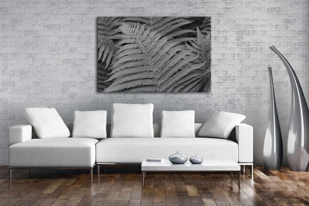 deyoli bezaubernder Farn Effekt: Schwarz/Weiss Format: 100x70 als Leinwandbild, Motiv fertig gerahmt