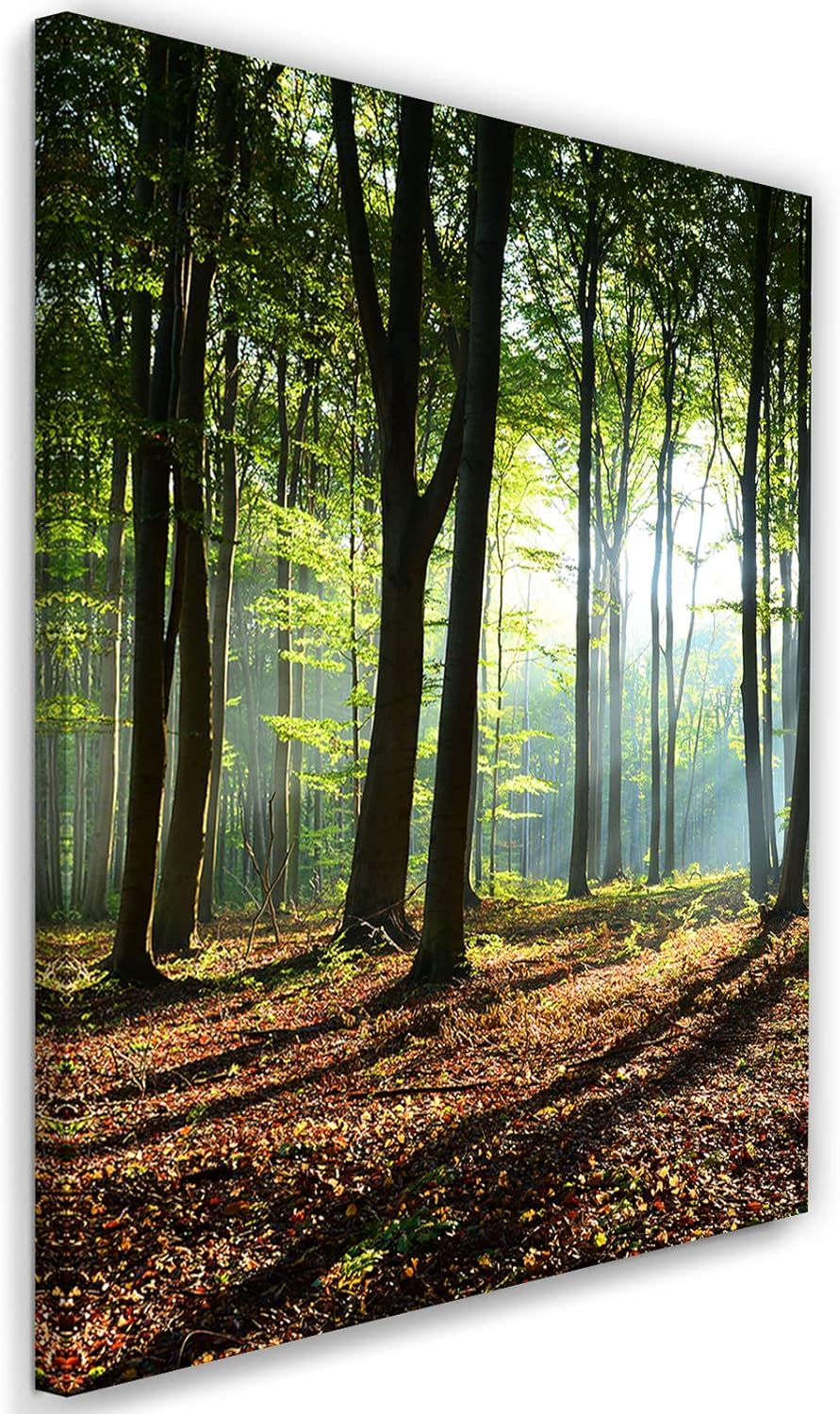 Feeby Vlies Leinwandbild Blätter Sonnenstrahlen Landschaft 60x90 cm Druckbild Wandbild Wanddekoratio