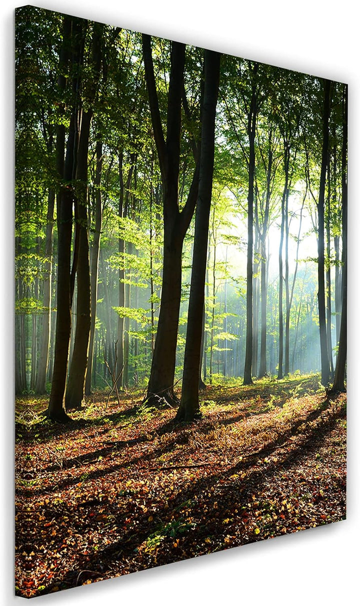 Feeby Vlies Leinwandbild Blätter Sonnenstrahlen Landschaft 60x90 cm Druckbild Wandbild Wanddekoratio