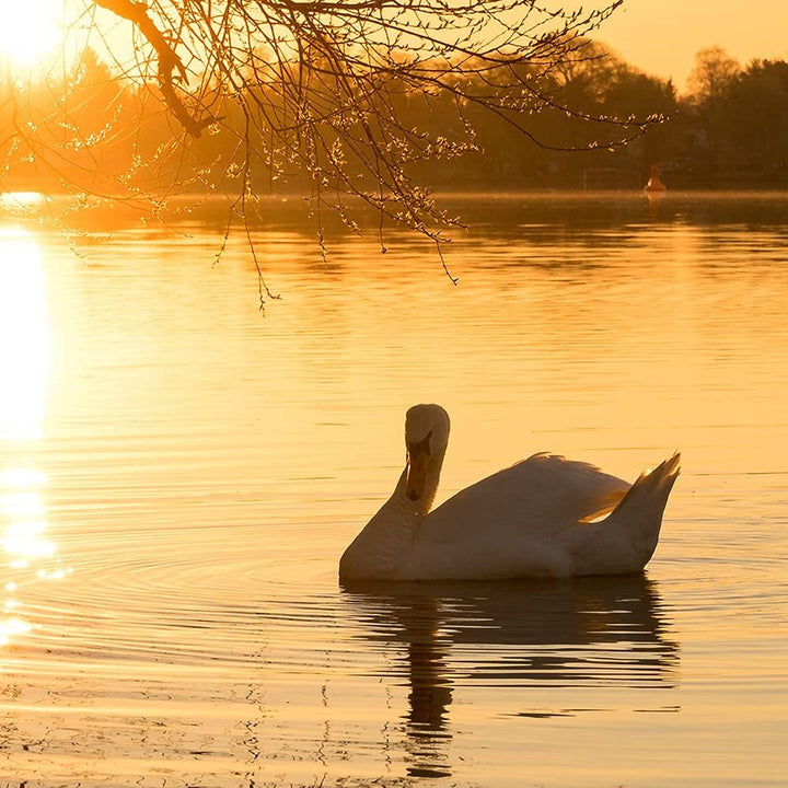 Feeby Viles - Leinwand Bilder - Fensterblick Natur- 90x60 cm- Deko Wohnzimmer - Wandbilder Schlafzim