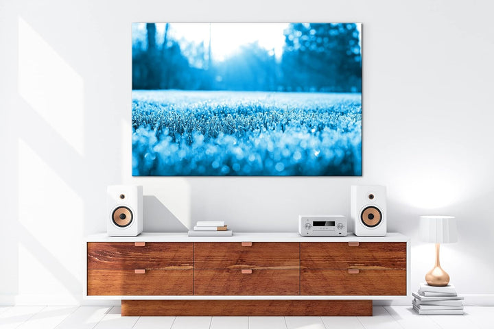 deyoli Morgenfrost auf einer Frühlingswiese Format 80x60 Effekt: Monocrome Blau als Leinwandbild, Mo